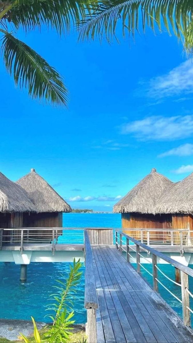 MitchellWi79248's tweet image. The St. Regis Bora Bora Resort