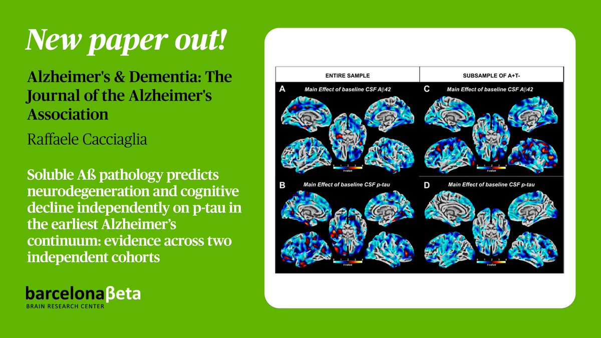 BarcelonaBeta's tweet photo. 🗞️ Just published!

A new groundbreaking study by Dr. Raffaele Cacciaglia (@Raffaele_C1) has shown that amyloid accumulation on its own can cause brain atrophy and cognitive decline, even without elevated levels of the tau protein.

https://t.co/kn0U8FCzEn https://t.co/rtv5yrISzV