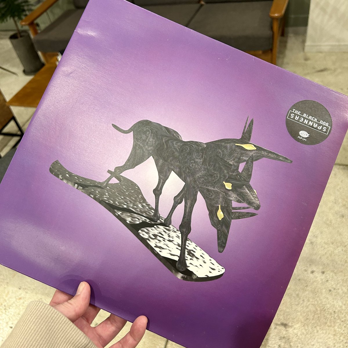 daisuke__hirose's tweet image. 今年の1月でリリースから30周年とか…今でも好きやで

#TheBlackDog #Spanners