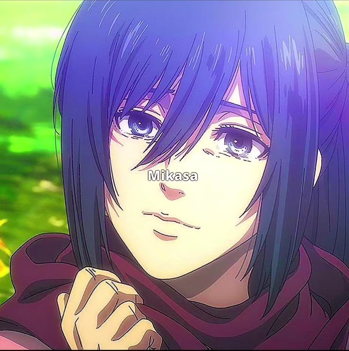 Del_Uzumaki's tweet image. The must loyal girls in anime ✨

#Mikasa #Hinata #Amane