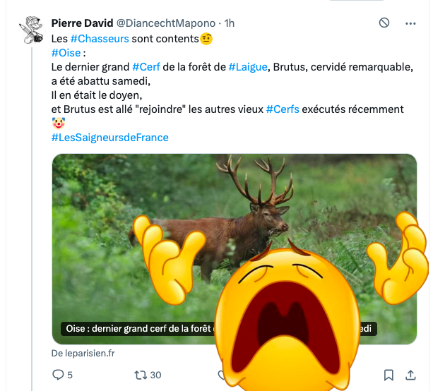 FrancAller_info's tweet photo. Ah... on a abattu le dernier grand #Cerf de la #forêt de #Laigue.
Encore.
C'est le combientième dernier grand cerf de la forêt qu'il y en aura plus, déjà ? Que c'est la fin, l'#écocide, tout ça ?🤔
#Animalisme #Gesticulations #Pitres
#Chasse #Chasseurs
#IlsSachentNousChassons
#ChassePartage
(le tweet du zozo : https://t.co/rLRRME3ZGZ)