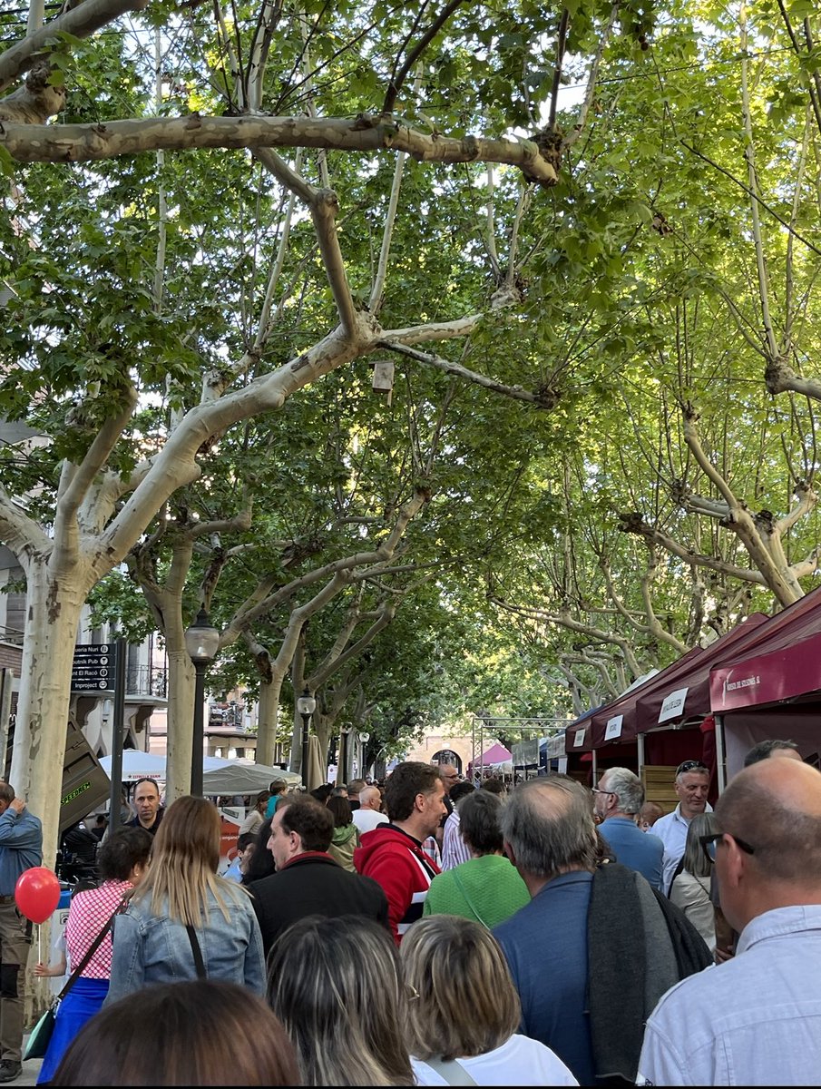 🐂 La Fira de Sant Isidre ja té dates fixes!

📅A partir d'ara, el tercer cap de setmana de maig serà la cita ineludible per gaudir de la fira. 

👉🏻Aquesta decisió busca evitar confusions i facilitar-ne la planificació per a tothom.

#FiraSantIsidre #Solsonès #Solsona