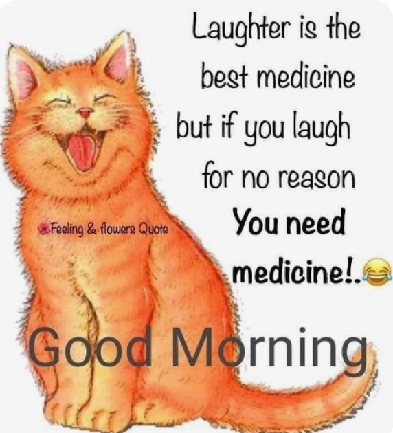 Good morning Friends, I hope you all have a great Monday☕️🌅☀️✌️🎶😊