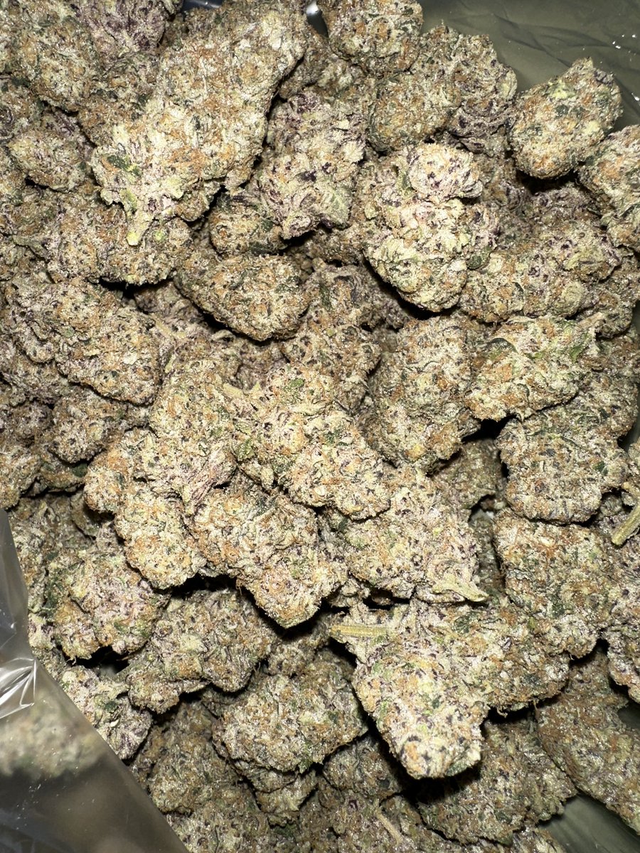 It’s been a while but I need to get back participating in the community…
🚨 ‼️ GIVEAWAY TIME!!! ‼️ 🚨 
Trying to run the follower count back up some before getting back into seed giveaways! This one is for a quarter (7gs) of this Slap n Tickle grown by a close homie. Gonna run