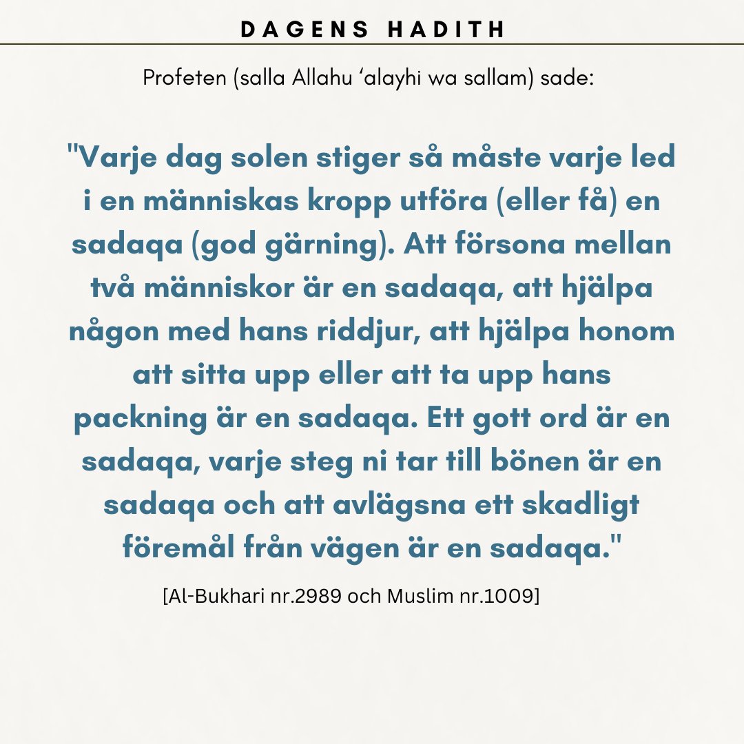 Moosa Assal (@moosa_assal) on Twitter photo 