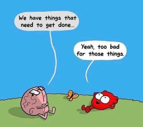 joanie_tweet's tweet image. No Day is Ever Wasted if You’re Doing Something You Enjoy. Even if that Something is Nothing! 😄😂
Have a Wonderful Day Everyone, Whatever You Do!
😊❤️🤗
#Enjoy #YourDay #MondayVibes #MondayMotivation