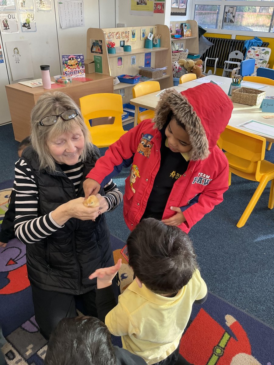 We have had a visit from the chicks this week in Reception! The children have loved helping to look after them and learned all about how we can care for animals.