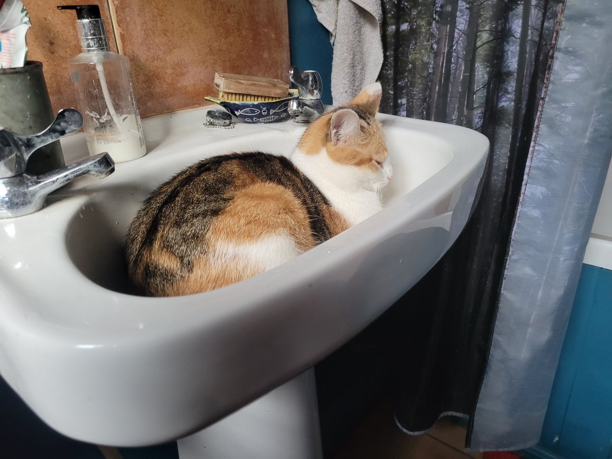 Bobby McCormack tweet media