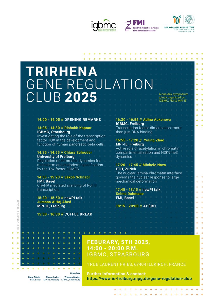 MPI of Immunobiology & Epigenetics (@mpi_ie) on Twitter photo Excitement on both sides of the Rhine. The 1st #TriRhena Gene Regulation Club in 2025 will take place on Feb. 5th at <a href="/IGBMC/">IGBMC</a> in Strasbourg.
Thanks to the organizers: <a href="/MarcBhler4/">Marc Bühler</a> (<a href="/FMIscience/">FMI science</a>), <a href="/TomSexton_lab/">TomSexton_lab</a> (<a href="/IGBMC/">IGBMC</a>) & <a href="/Iovino_Lab/">Lab Nicola Iovino</a> (<a href="/mpi_ie/">MPI of Immunobiology & Epigenetics</a>)
ie-freiburg.mpg.de/gene-regulatio… Excitement on both sides of the Rhine. The 1st #TriRhena Gene Regulation Club in 2025 will take place on Feb. 5th at <a href="/IGBMC/">IGBMC</a> in Strasbourg.
Thanks to the organizers: <a href="/MarcBhler4/">Marc Bühler</a> (<a href="/FMIscience/">FMI science</a>), <a href="/TomSexton_lab/">TomSexton_lab</a> (<a href="/IGBMC/">IGBMC</a>) & <a href="/Iovino_Lab/">Lab Nicola Iovino</a> (<a href="/mpi_ie/">MPI of Immunobiology & Epigenetics</a>)
ie-freiburg.mpg.de/gene-regulatio…