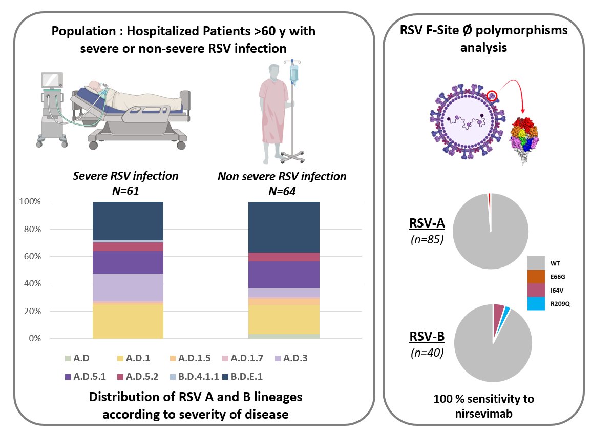 Check out our new paper on molecular characterization of RSV infections in elderly patients during the 2023/2024 season in the era of nirsevimab introduction, just published in JID pubmed.ncbi.nlm.nih.gov/39895281/
