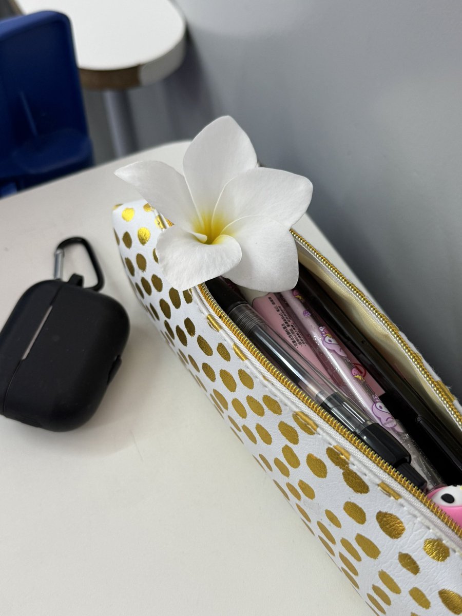 Lu Pinheiro ୨ৎ tweet media