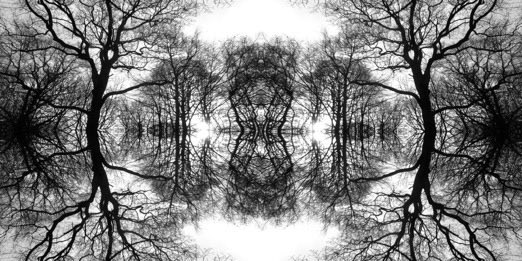 RuthMcDonald1's tweet image. Still featuring black and white - planning new prints - looking for depth and pattern - this image has been mirrored for extra tranquility
#trees #woodland #mirrorimage #calming #artwork #countryside #landscape #artlover #woodland #ArtInspiration #MondayMotivation #screenprint