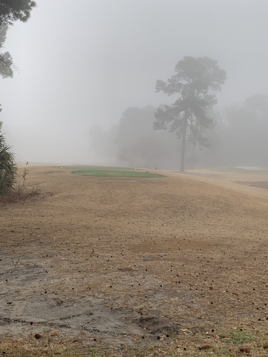 Dense fog 🌫️ = Extreme caution ⚠️!!   Increase your following and stopping distance while driving!!   Please be safe y’all!