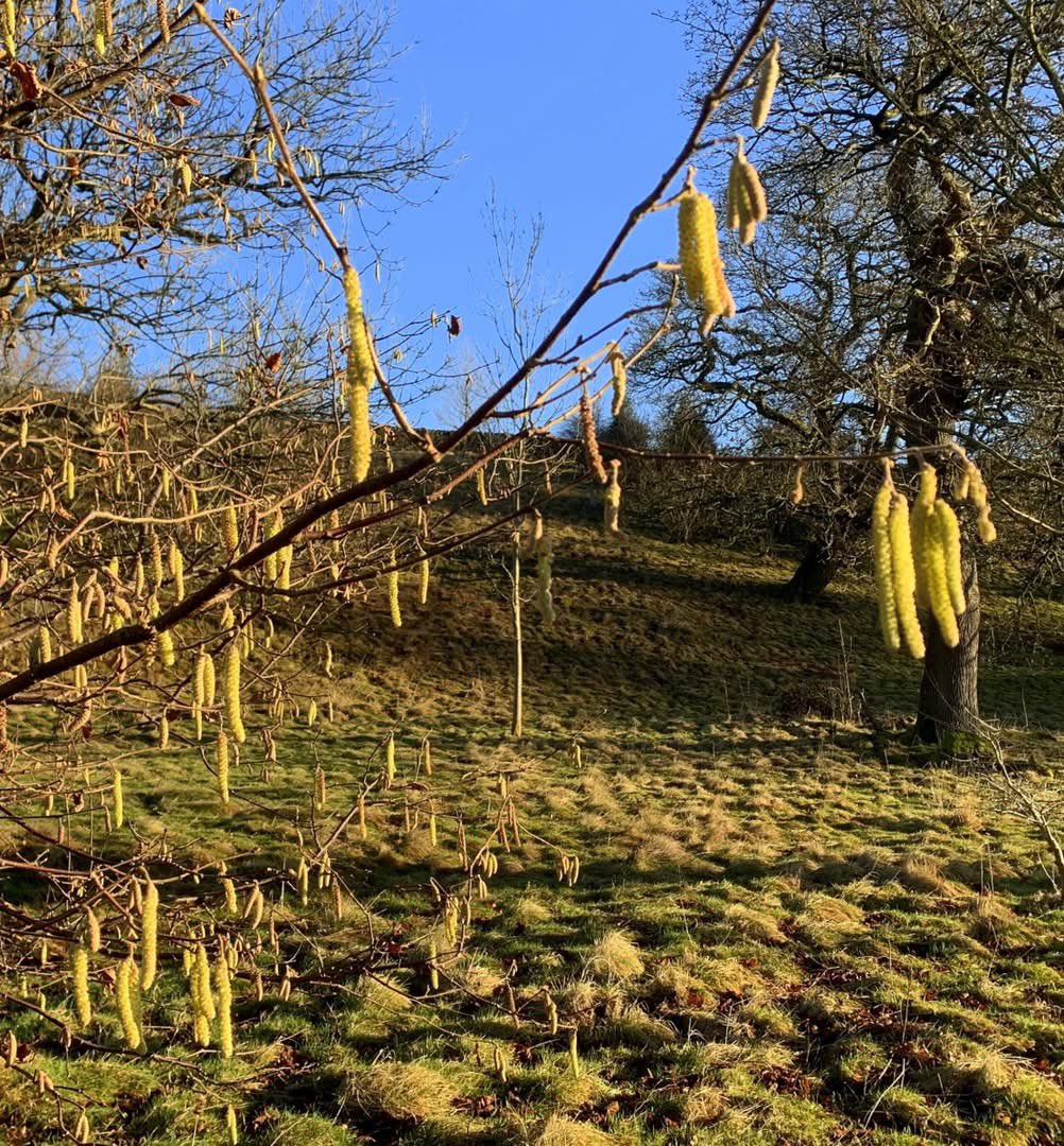 IreneSandraD's tweet photo. Couldn’t have chosen a better day for a 5 mile circular walk at #BoltonAbbey via the #Cavendish and the #Strid @WalkInYorkshire @IamHappyHiker @VisitYorkshire https://t.co/6RdHu3oUgX