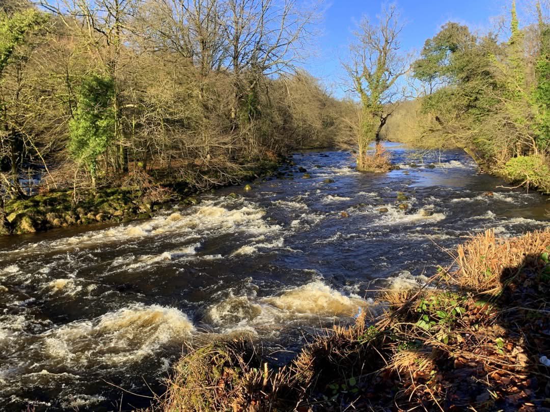 IreneSandraD's tweet photo. Couldn’t have chosen a better day for a 5 mile circular walk at #BoltonAbbey via the #Cavendish and the #Strid @WalkInYorkshire @IamHappyHiker @VisitYorkshire https://t.co/6RdHu3oUgX