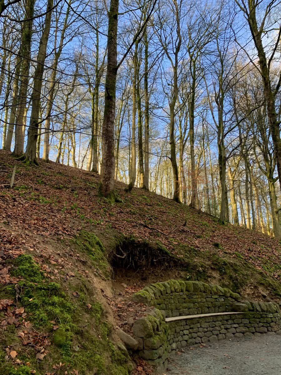 IreneSandraD's tweet photo. Couldn’t have chosen a better day for a 5 mile circular walk at #BoltonAbbey via the #Cavendish and the #Strid @WalkInYorkshire @IamHappyHiker @VisitYorkshire https://t.co/6RdHu3oUgX