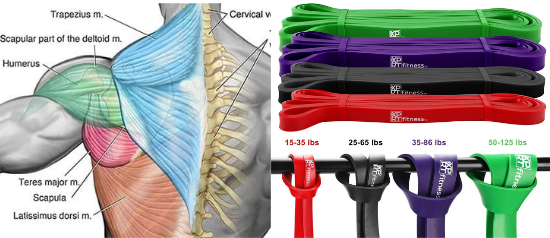 Resistance bands help you build strength while staying injury-free.

But most people have NO IDEA how to use them..

Here’s how to maximize your gains while minimizing pain: