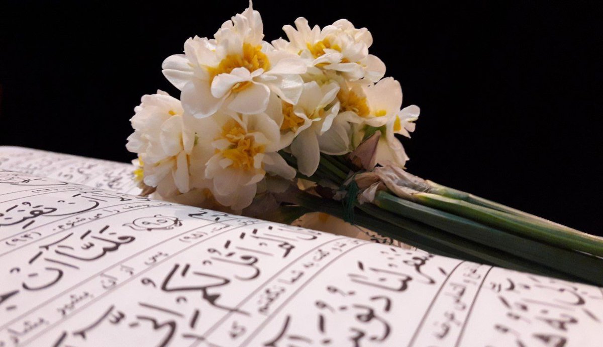 |آقای فرهادی| tweet media
