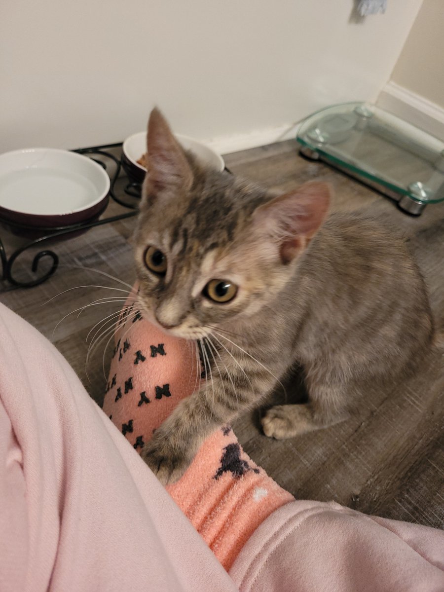 CaveFem🏳️‍⚧️ tweet media