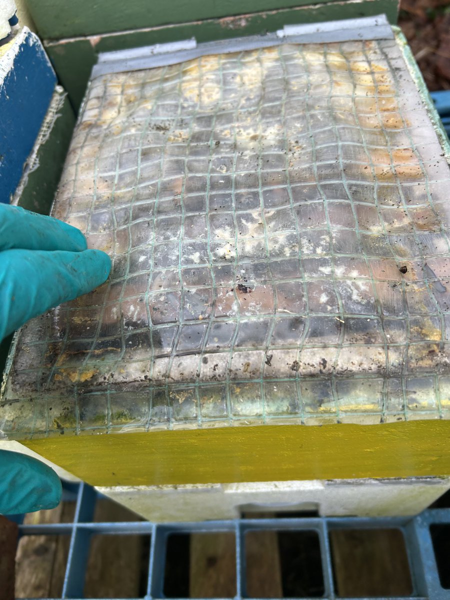 Rob wilson tweet media