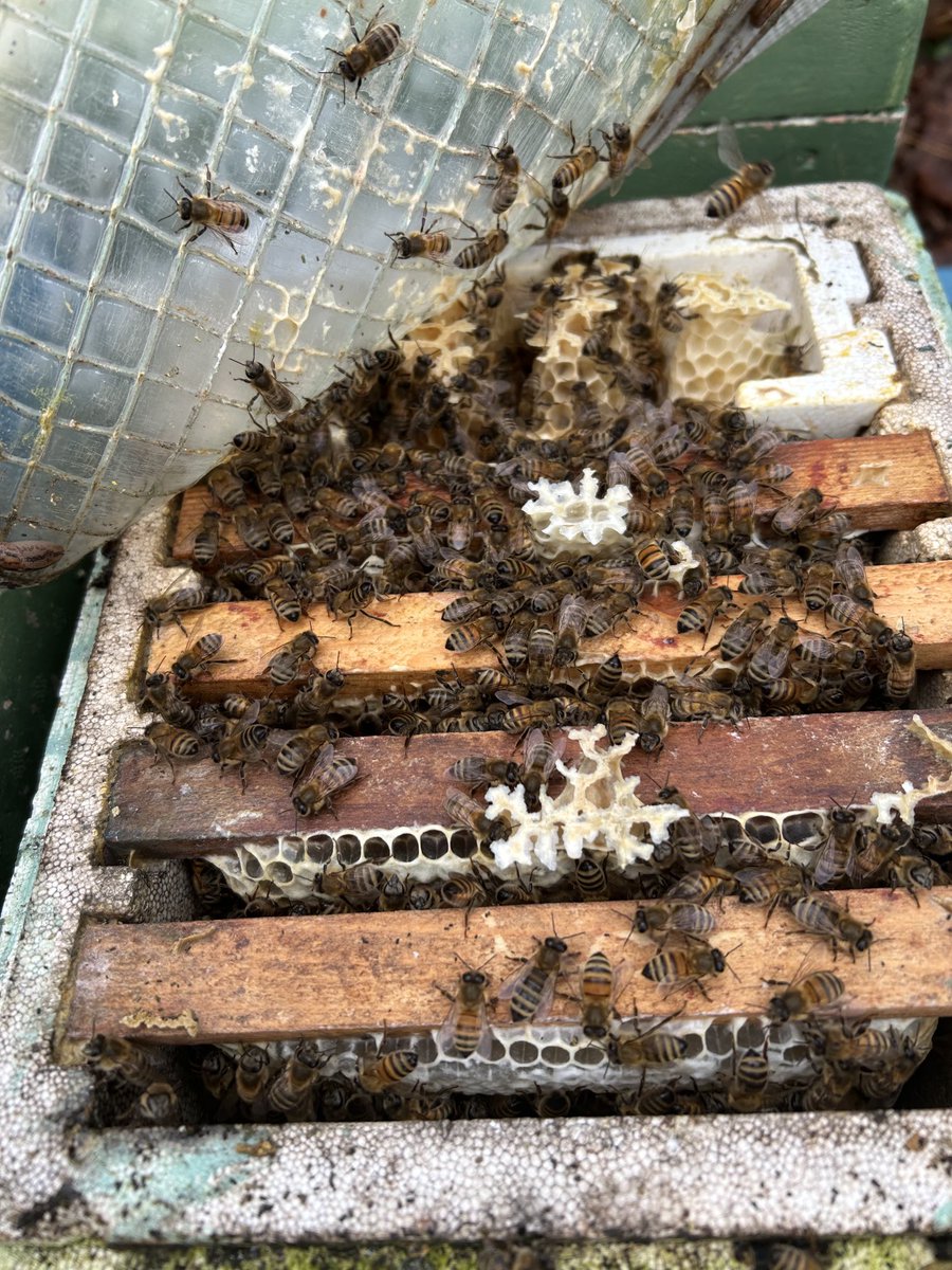 Rob wilson tweet media