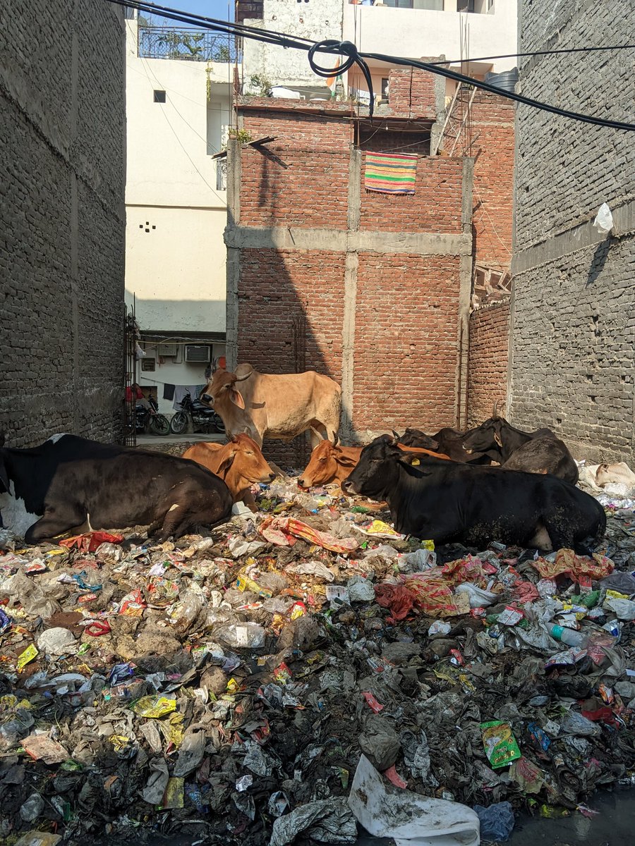 siiddhaant's tweet photo. Delhi Election 2025.
A world beyond history and culture. A world of landfills and broken sewers. https://t.co/NB2N3pS26u