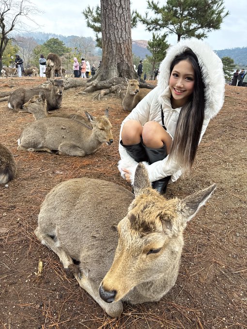 SERINAのTwitter画像37