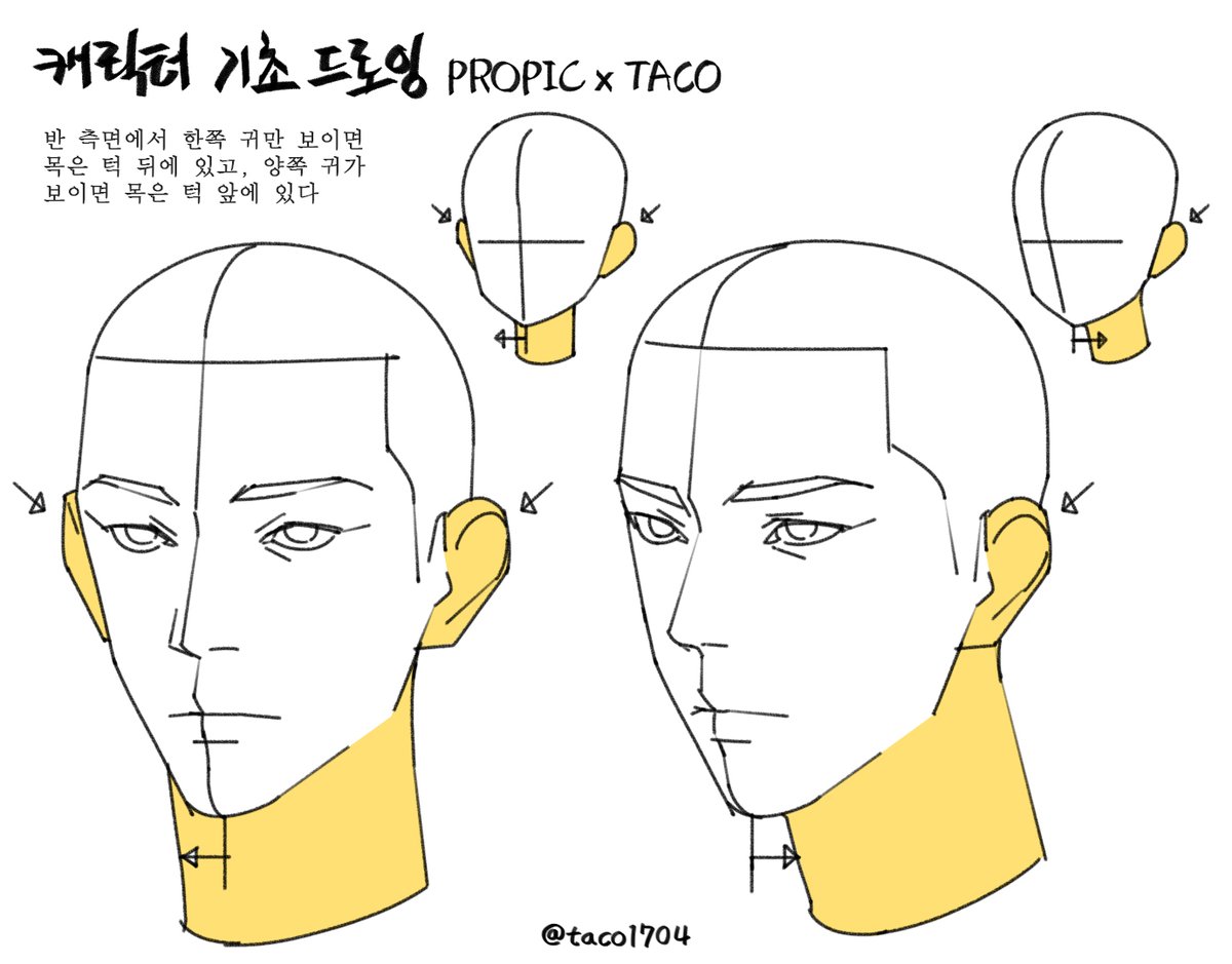 반 측면에서 한쪽 귀만 보이면 목은 턱 뒤에 있고, 양쪽 귀가 보이면 목은 턱 앞에 있다
片方の耳が見えたら首はあごの後ろにあり, 両耳が見えたら首はあごの前にある