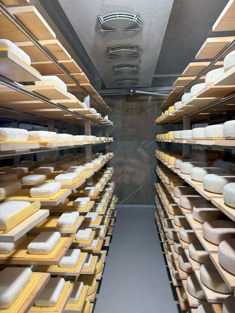 FUNDACION_CEL's tweet photo. 🐄 O Polo Sarria organizou o pasado venres unha sesión na que as persoas asistentes coñeceron o caso de éxito da Gandería Quintián (@LecheQuintian) da man dos seus fundadores

🤝 A xornada finalizou cun networking e degustación de produtos locais

(1/2) https://t.co/kusDqOFpMB