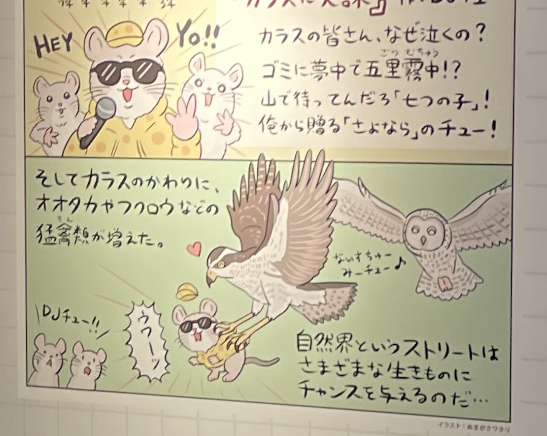 そういえば #鳥展 で、ゴミ処理改善でカラスが減少→カラスが天敵だったネズミが増加→ネズミをエサにする猛禽類の増加、という「ゴミが減るとオオタカが儲かる」の話をしましたね(パネルが微妙に見落としやすい位置なのでチュー意)