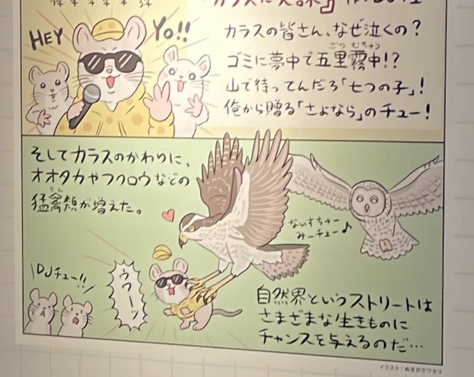 そういえば #鳥展 で、ゴミ処理改善でカラスが減少→カラスが天敵だったネズミが増加→ネズミをエサにする猛禽類の増加、という「ゴミが減るとオオタカが儲かる」の話をしましたね(パネルが微妙に見落としやすい位置なのでチュー意) 