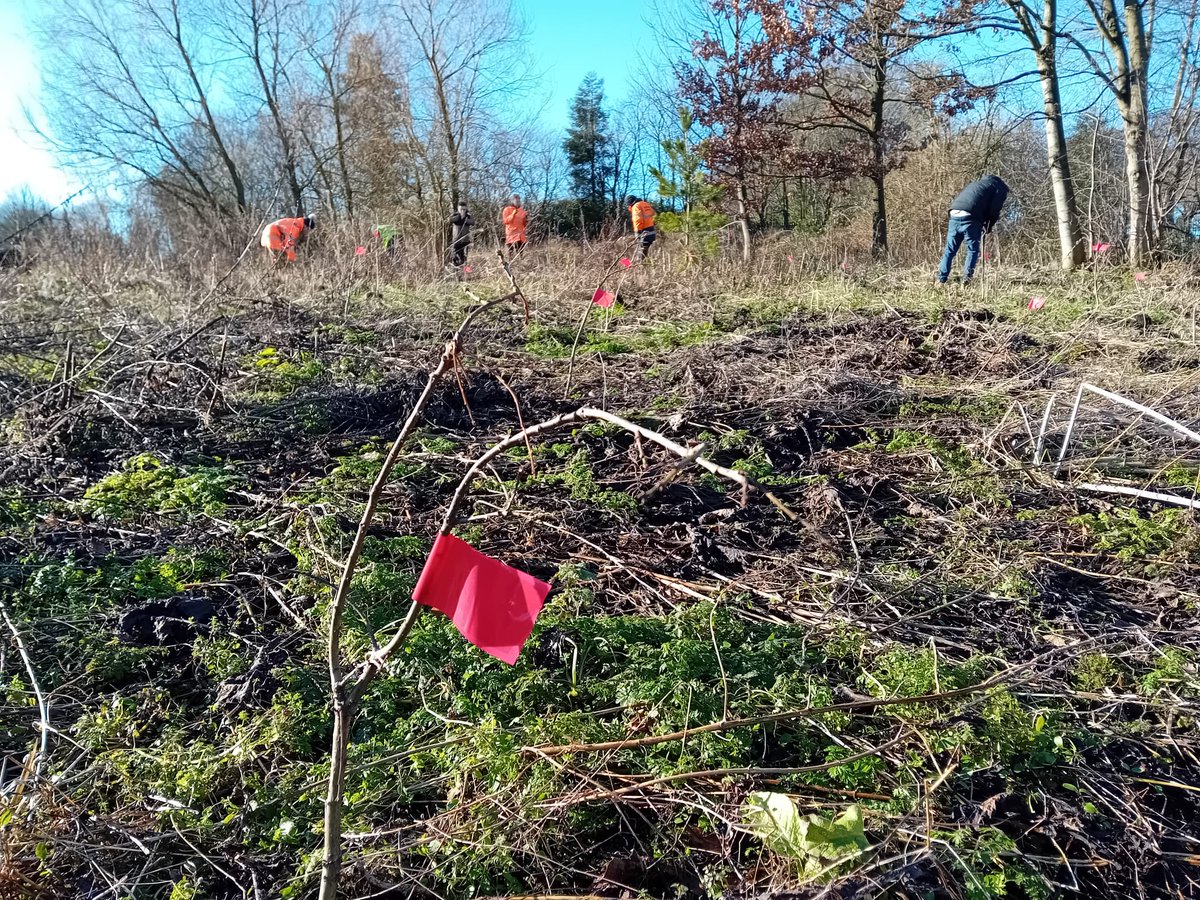 The Green Estate CIC tweet media