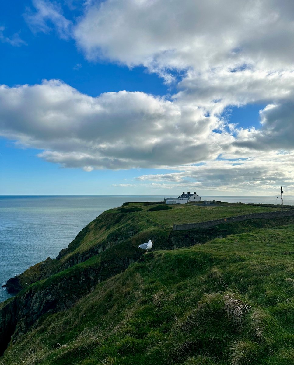 EC English tweet media