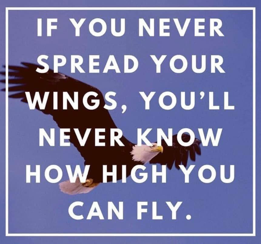 JamesLuter5's tweet image. Tip of the day: “But those who trust in the Lord will find new strength. They will soar high on wings like eagles. They will run and not grow weary. They will walk and not faint.” Isaiah40:31

#betterispossible #dailyinspiration #LearnFromExperience #SuccessHabits
