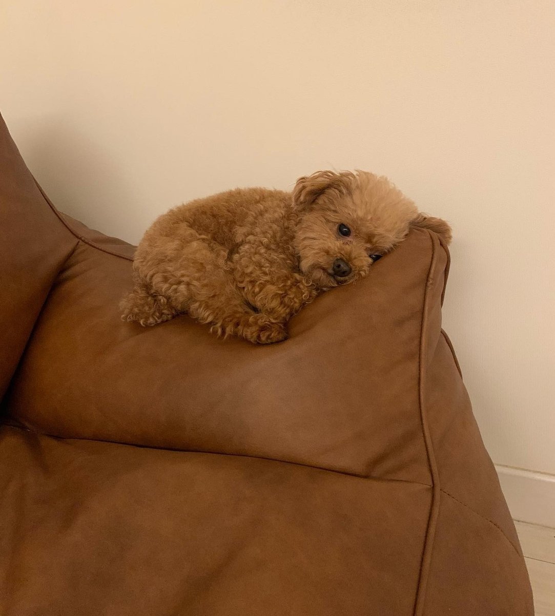 Começando a semana meio jururu...