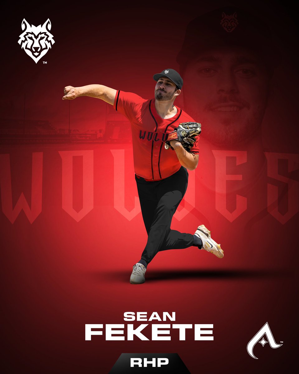 BaseballUnited's tweet photo. Welcome, Pitcher, Sean Fekete (@FeketeSean), to the @ArabiaWolves roster as a prospect for the upcoming BU UAE Series! 🐺

Sean played for Oakland University in 2024 and plays professionally with the @HamburgStealers https://t.co/tSbuXVWogN