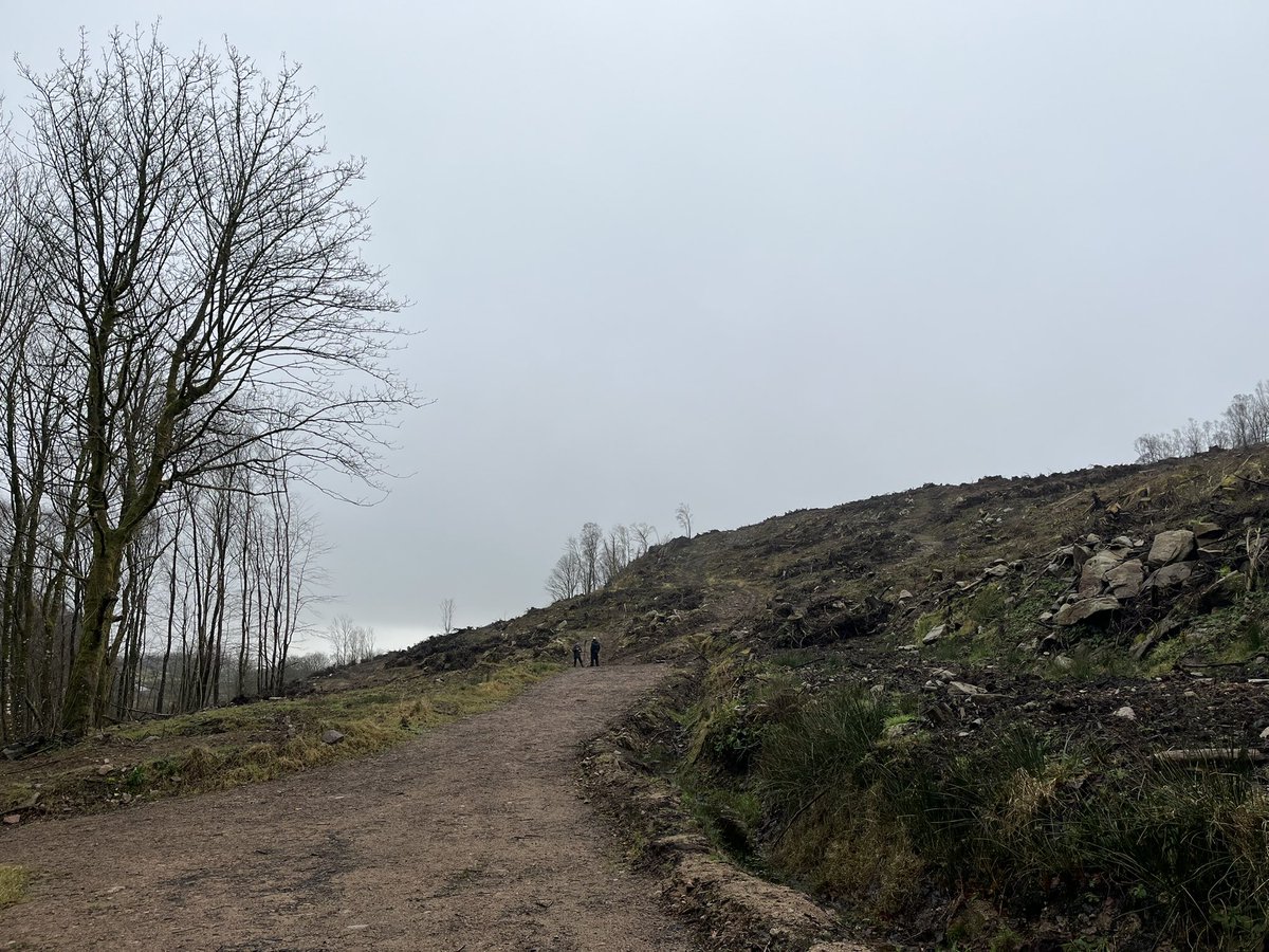 This morning McNabb was involved in a Border TV piece coming on the news later this week about our new Woodland Laboratory, discussing everything from research partners to fungal partners…