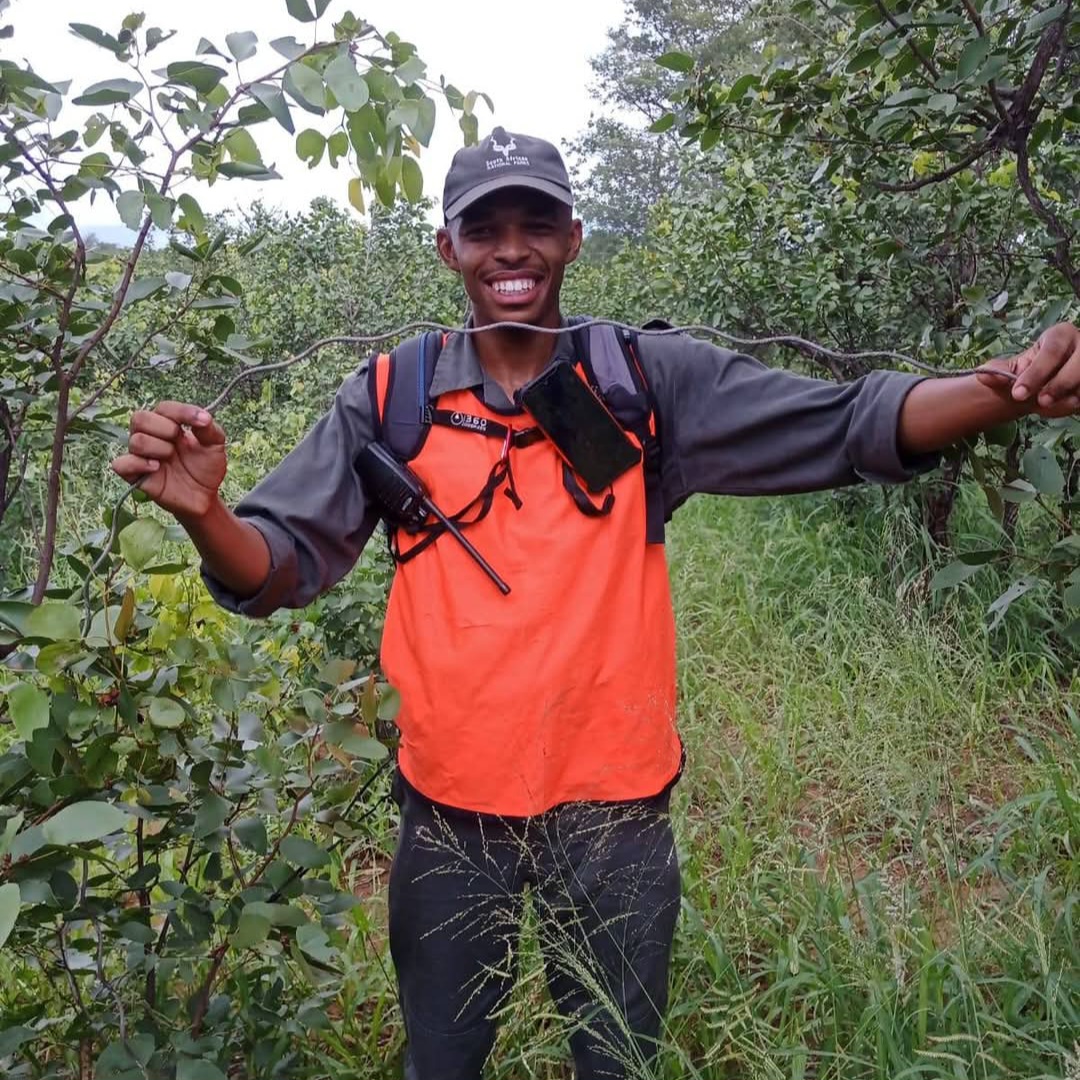 SANParks HR's tweet media