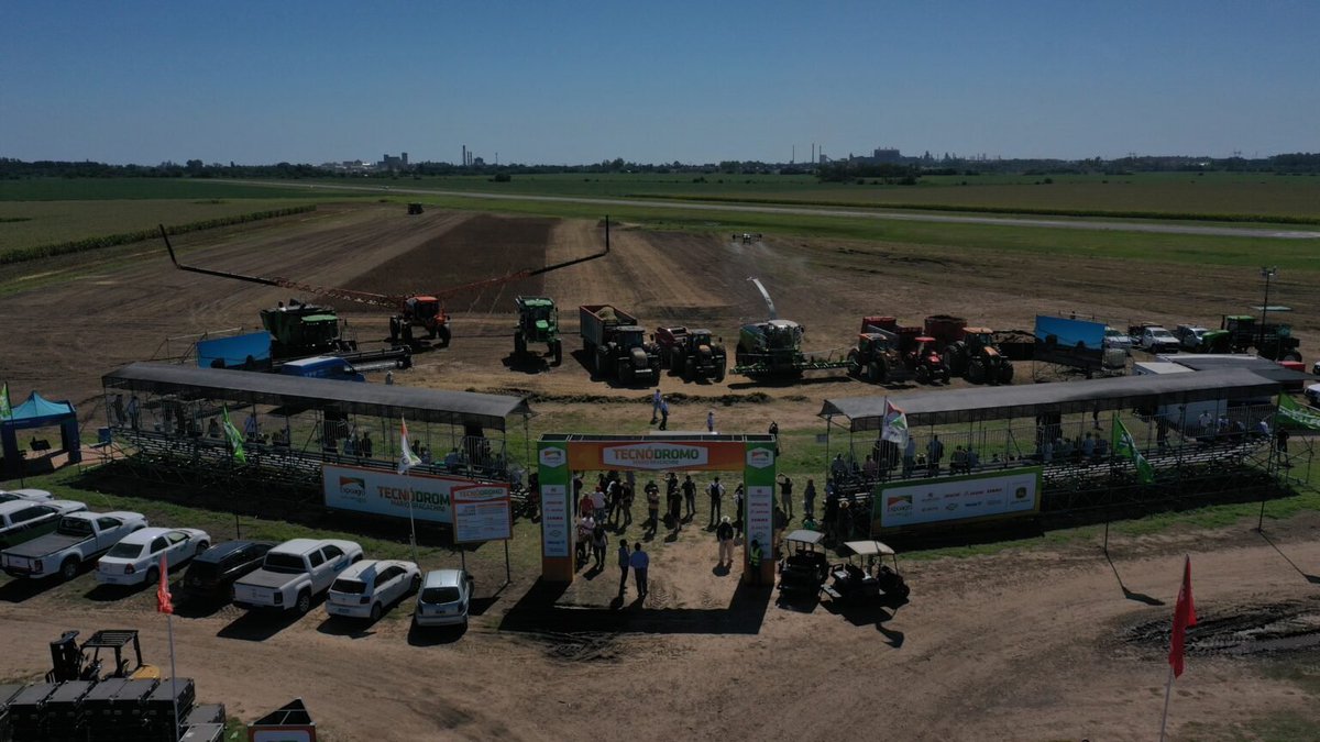 Gabi Tallarico tweet media