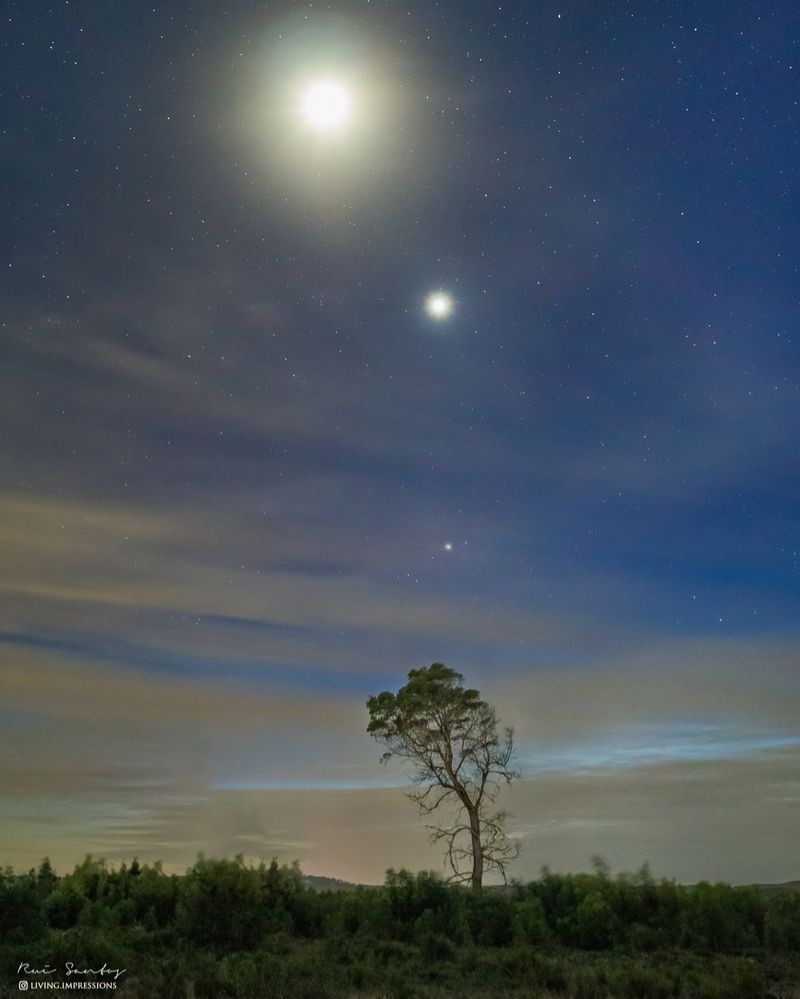 Rui Santos in Leiria, Portugal, captured this beautiful view of the #moon, #Venus and #Saturn on Sunday. Thank you, Rui! 🌕🌌🪐📸

ecp.earthsky.org/community-phot…

See more great images, and submit your own recent #photos, at EarthSky Community Photos:
ecp.earthsky.org