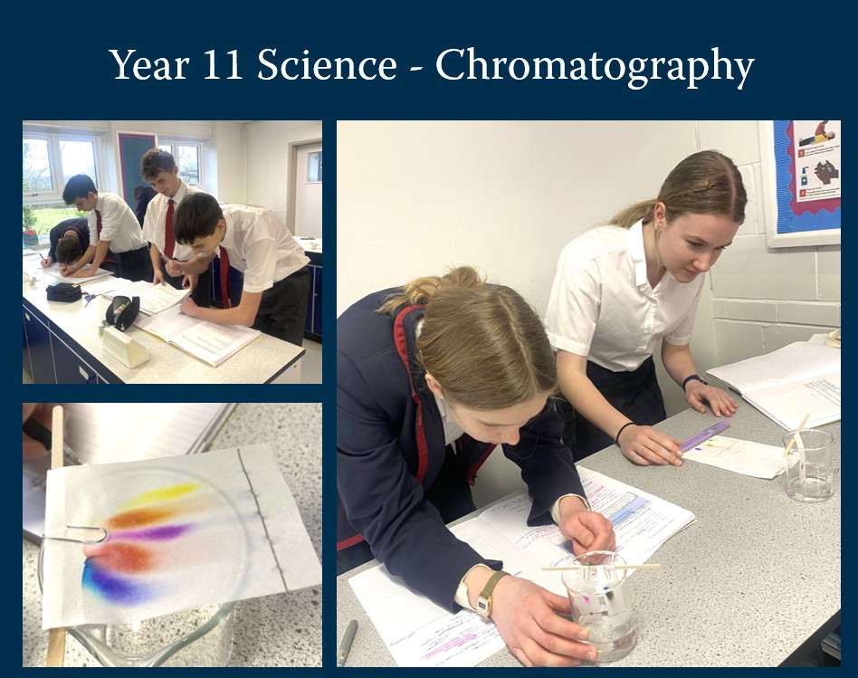 BallardSchool's tweet photo. Our Year 11 scientists have been conducting chromatography experiments.

Chromatography is a separation technique used to separate mixtures of soluble substances.

#Science #GCSE #Senior #Year11 #PracticalExperiments https://t.co/5xkccDfSZO