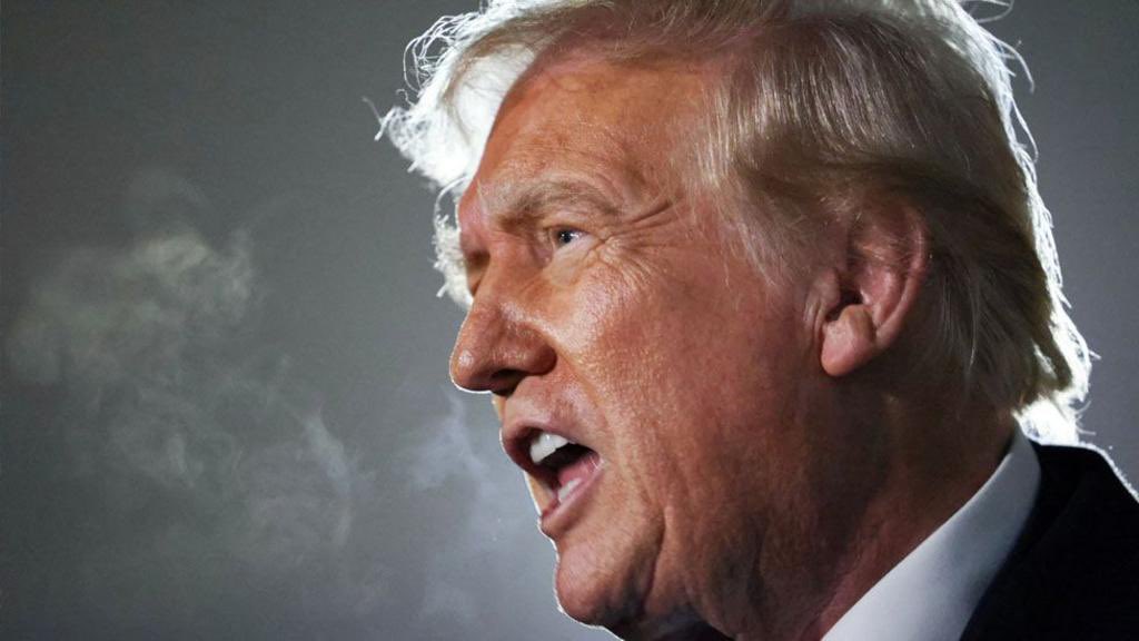 The Daily Export tweet media