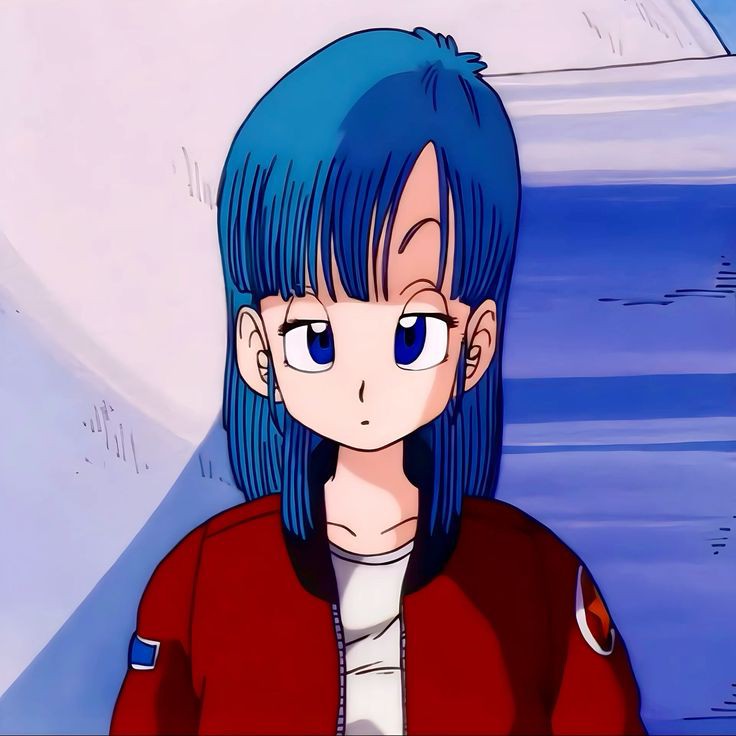 Daily Bulma (@daily_bulma) on Twitter photo 