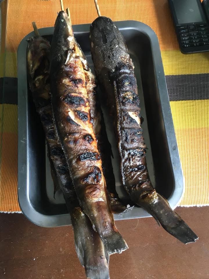 ofc_ochinko's tweet photo. Do you eat this? #sherep #kalamansitoyo π
π€€ https://t.co/y0wD9IzW5J