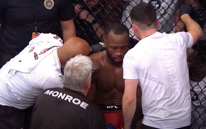 BedtimeMMA tweet media