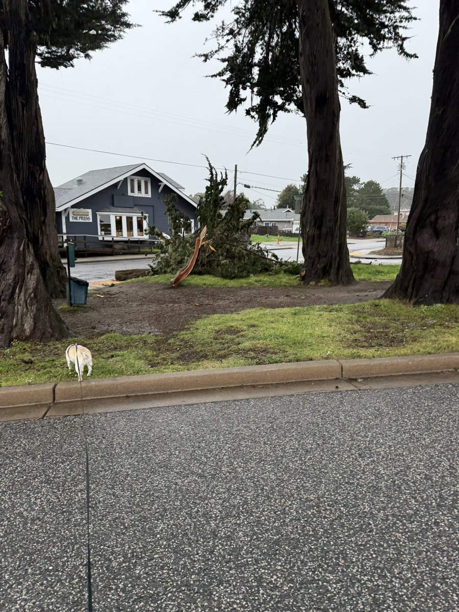 We are already seeing some effects of the rain.  As the ground saturates and  and winds pick up, pay attention to any shallow rooted or weak/damaged trees and stay clear.  Be prepared for power and communication outages.