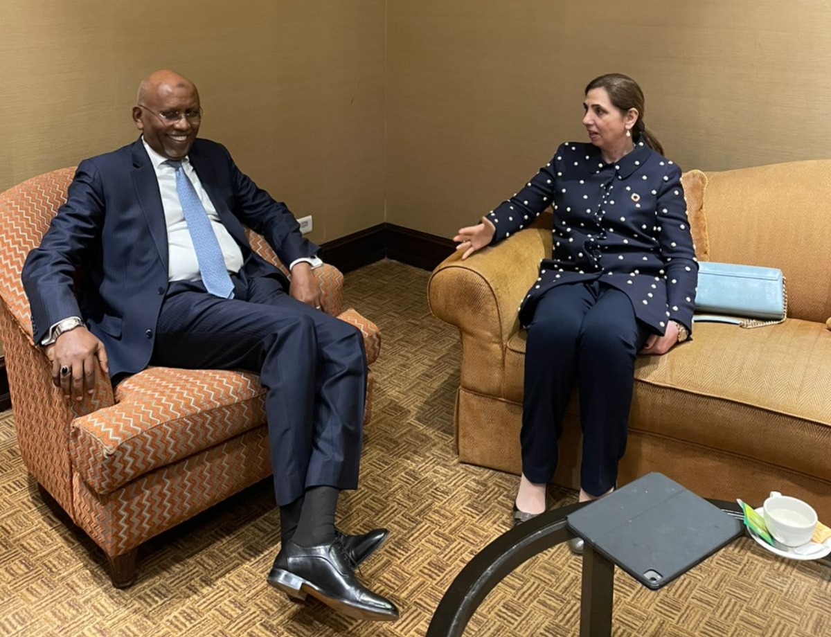 UNESCWA's tweet photo. La Secrétaire exécutive de la #CESAO @EscwaES a débuté sa visite à #Djibouti par une rencontre avec le Ministre de l’Économie et des finances chargé de l’industrie, @Ilyasdawaleh. https://t.co/1tIgFG0KZG