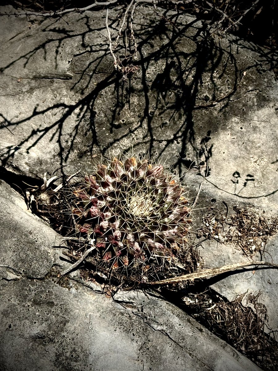 IRAK 😎 (@irakhc) on Twitter photo 