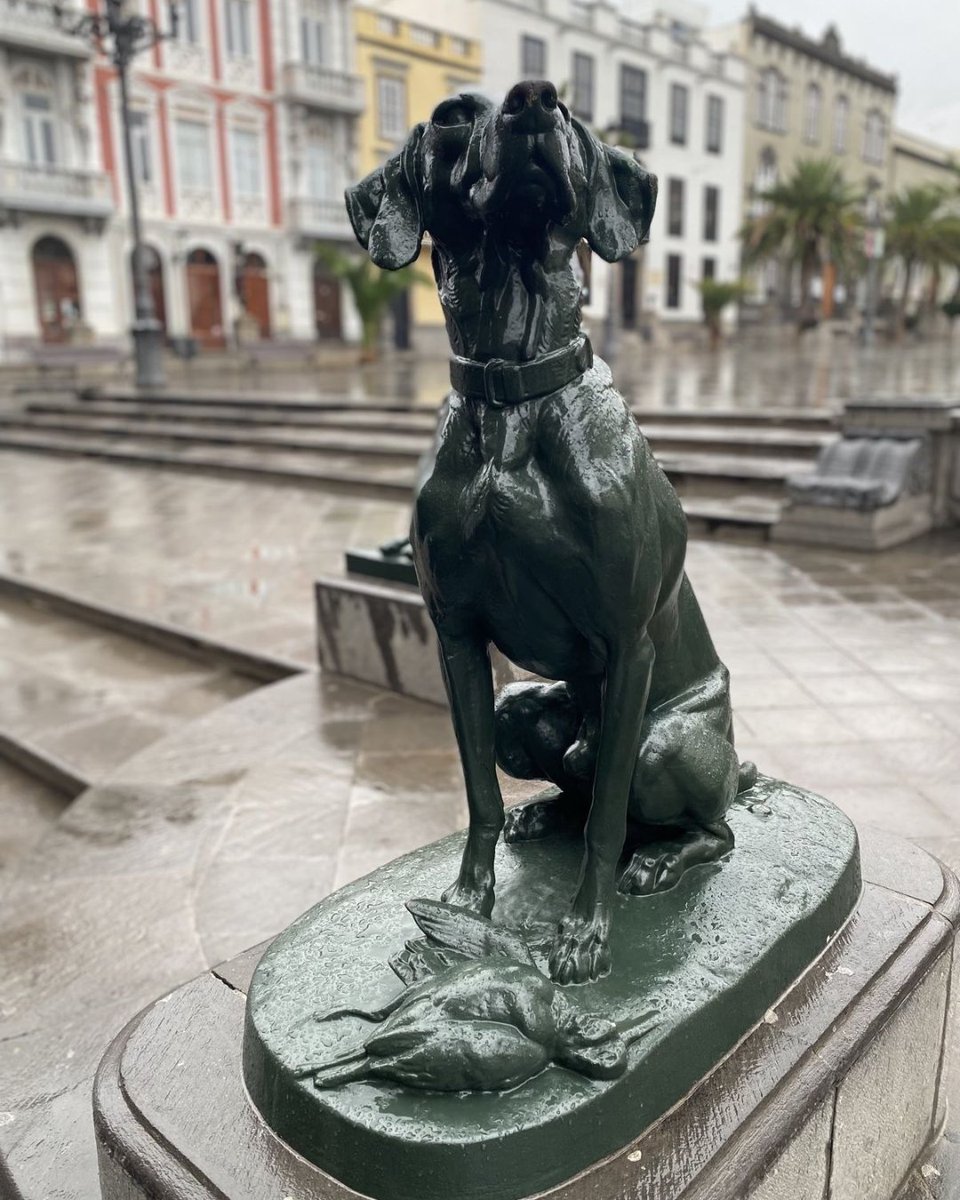 Paseando por la Plaza de Santa Ana te encuentras a uno de nuestros habitantes más curiosos 🐕 Ocho perros que adornan este rincón de Las Palmas de Gran Canaria 🙌

#laspalmasdegrancanaria #vegueta #plazadesantaana #santaana #turismo #turismolpa #grancanaria #perros