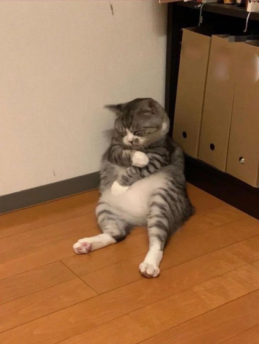 Gekikawa_Dbts's tweet photo. ワクチン接種した猫 https://t.co/H8WlTNx6Nw